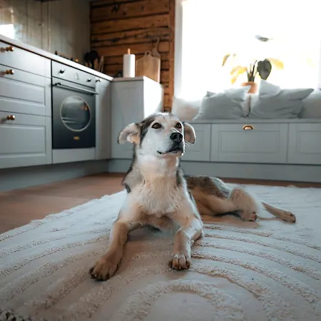 The Hidden Gem - Mountain & View Semesterbostad *